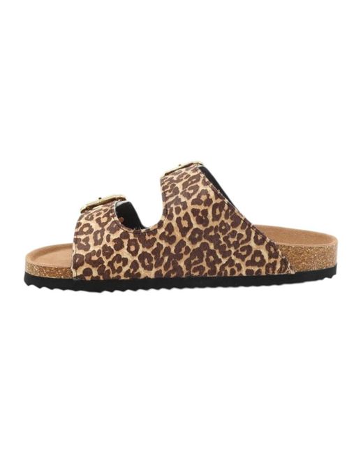 Colors Of California Brown Sliders