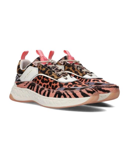 Sneakers di Kurt Geiger in Brown