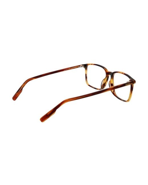 Zegna Brown Glasses