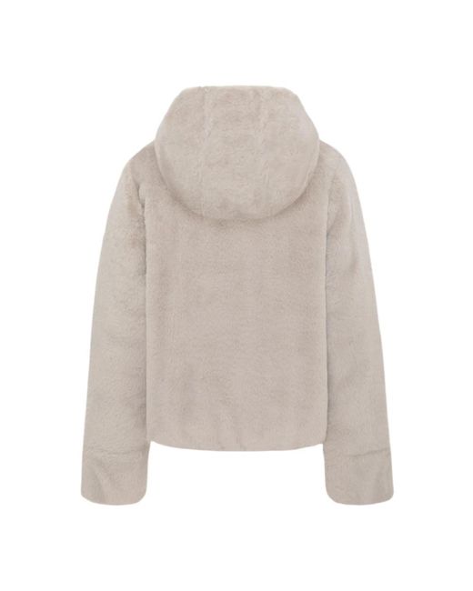 Colmar Winterjassen Voor Vrouwen in het Gray