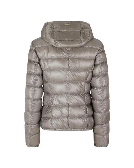 Winter Jackets Herno de color Gray
