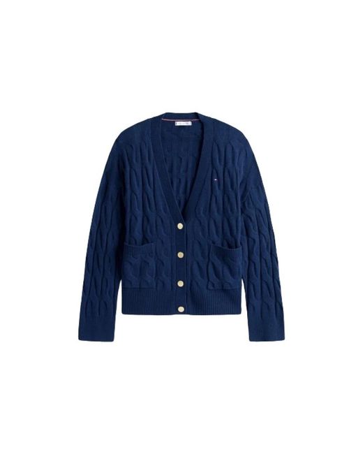 Tommy Hilfiger Truien & Vesten ,Blauw ,Katoen Truien in het Blue