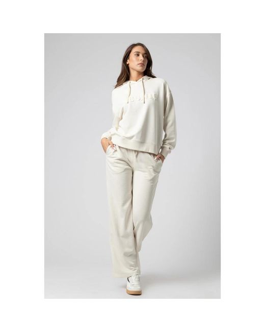 Kocca Hoodies in het Gray