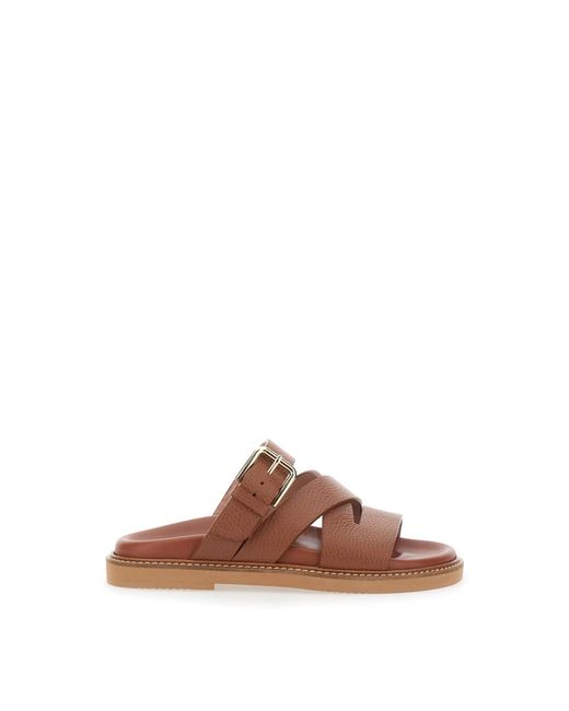 Sliders Pollini en coloris Brown