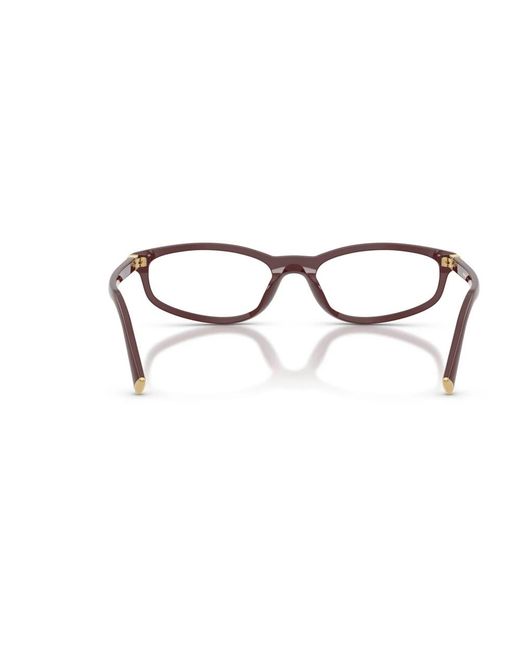 Miu Miu Brown Optical Frame