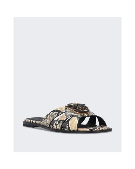 Pinko Brown Sliders