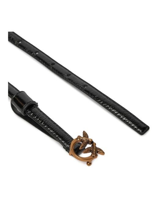 Accessories > belts Pinko en coloris Black