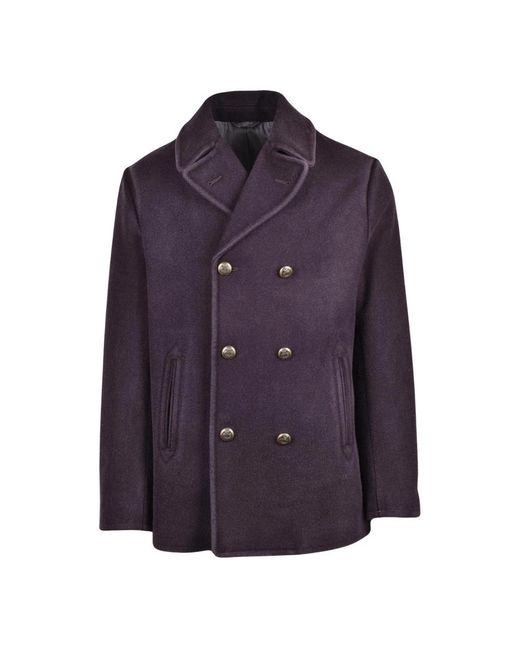 Circolo 1901 Peacoat in het Purple voor heren