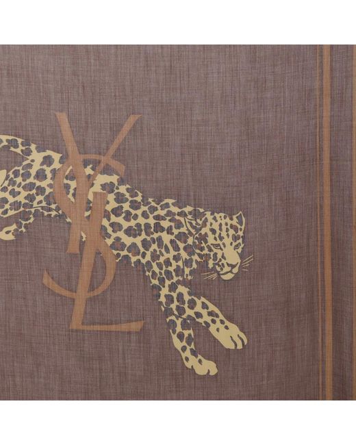 Saint Laurent Brown Winter Scarves