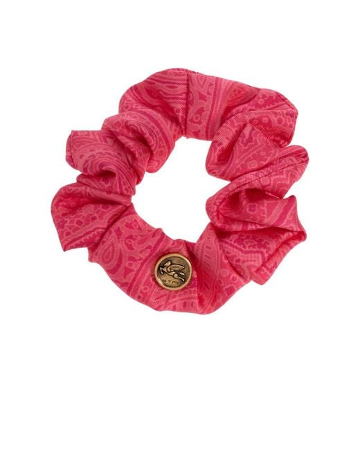 Etro Hair Accessories in het Pink