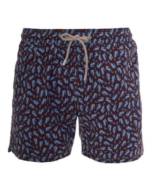 Mc2 Saint Barth Blue Beachwear for men