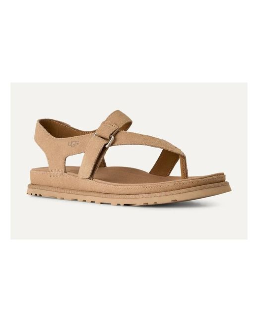 Ugg Brown Flat Sandals