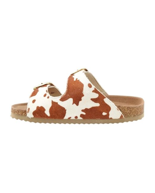 Colors Of California Metallic Sliders