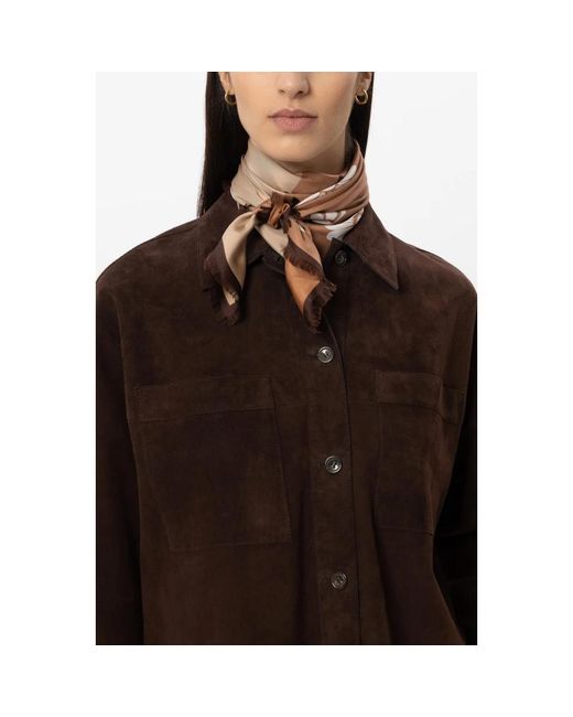 Luisa Cerano Brown Silk Scarves