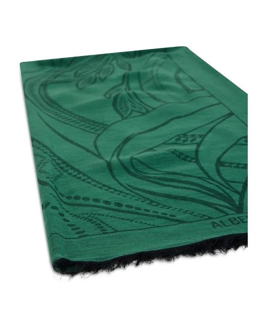 Alberta Ferretti Green Winter Scarves