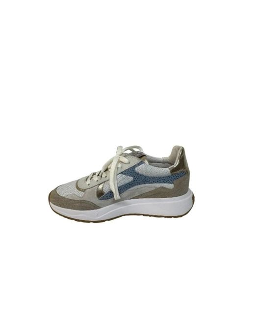van Bommel Floris in het Gray