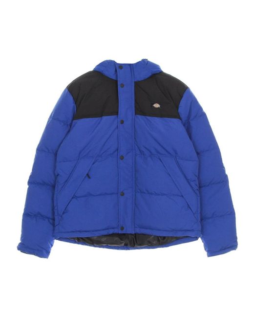 Dickies Blue Winter Jackets for men