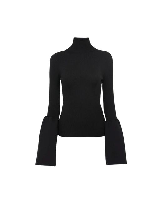 Chloé Truien & Vesten ,Zwart ,Stijlvolle Gebreide Truien in het Black