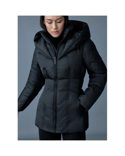 Mackage Blue Winter Jackets
