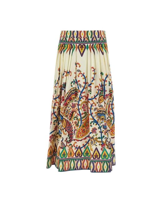 Etro Midi Skirts in het Multicolor