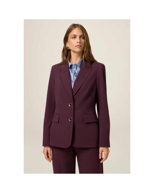 Blazers Oltre de color Purple
