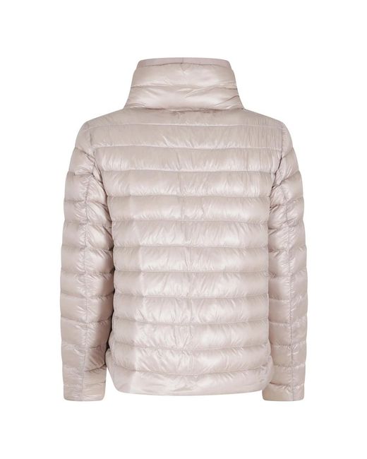 Winter Jackets Herno en coloris Gray