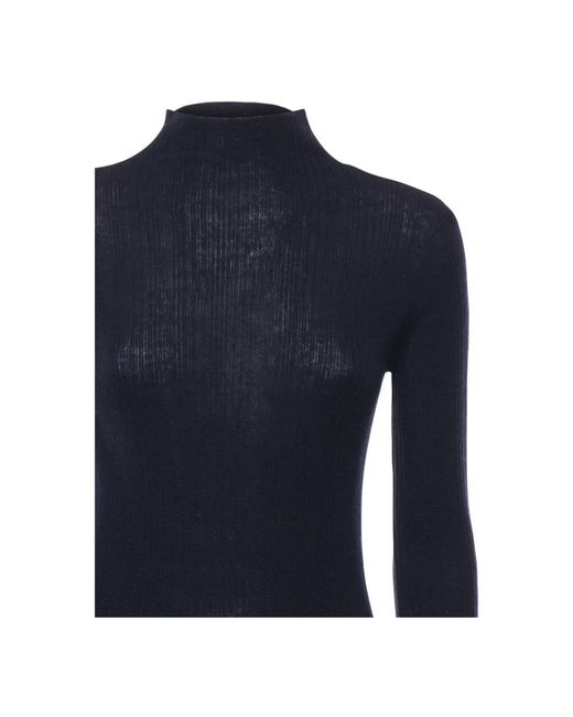 Pinko Turtlenecks in het Blue
