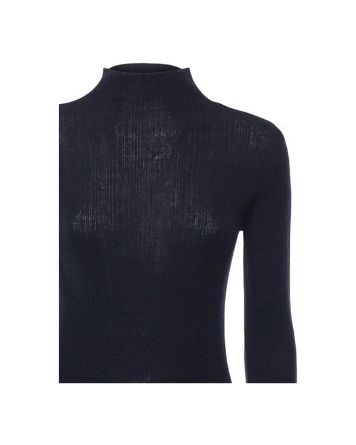 Pinko Turtlenecks in het Blue