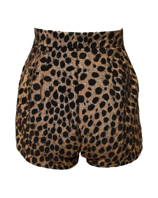Dolce & Gabbana Brown Short Shorts