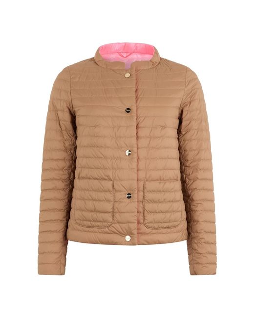 Down Jackets Herno en coloris Brown