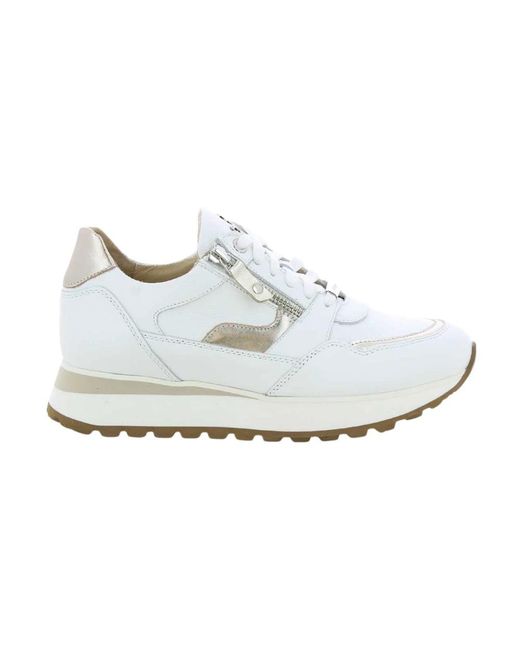 Footnotes Hilda 31.008 in het White