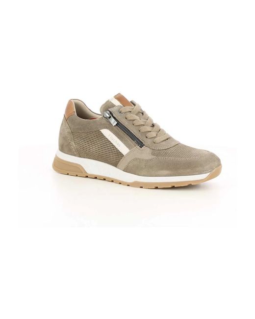 Fluchos Louis in het Gray voor heren