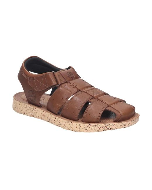 Shoes > sandals > flat sandals Kangaroos pour homme en coloris Brown