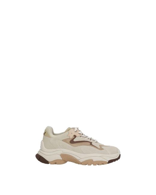 Ash Natural Sneakers