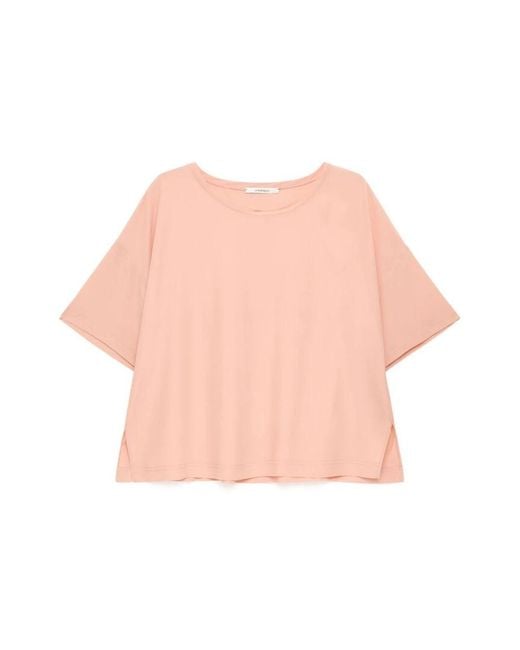 Maliparmi Pink Blouses