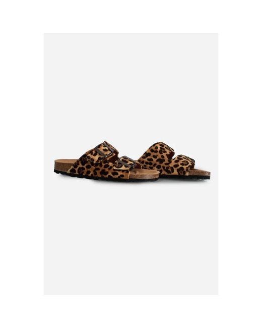 Mc2 Saint Barth Brown Sliders