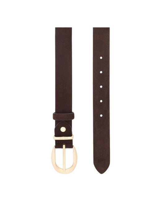 Belts di Kazar in Brown