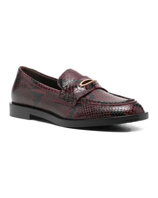 Roberto Festa Brown Loafers