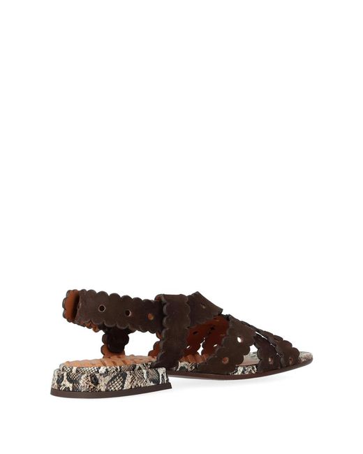 Chie Mihara Brown Tybi Sandal
