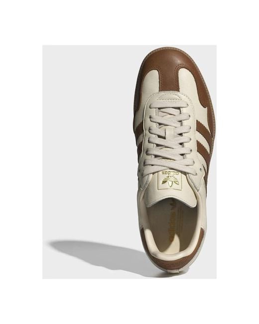 Adidas Originals Brown Sneakers for men