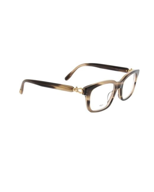 Fred Brown Glasses