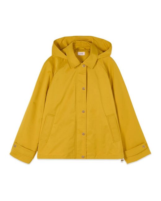 Light Jackets Oltre en coloris Yellow