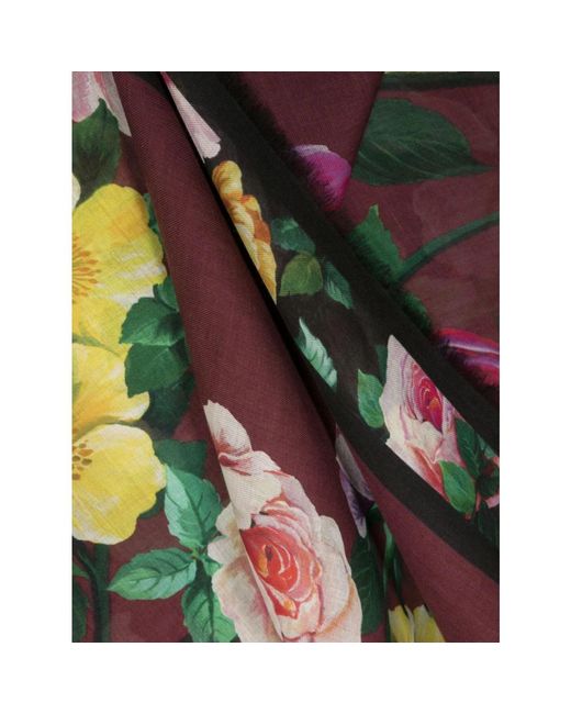 Accessories > scarves Dolce & Gabbana en coloris Multicolor