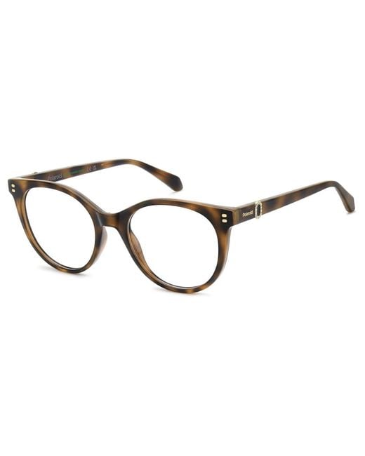 Polaroid Brown Glasses
