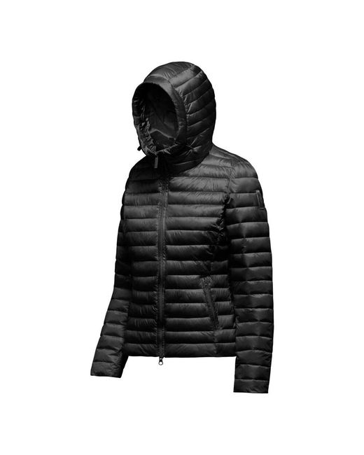 Winter Jackets Bomboogie de color Black