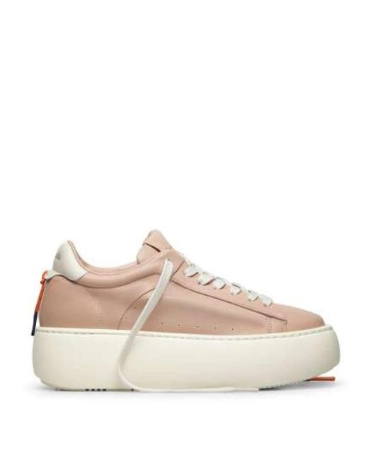 Barracuda Pink Sneakers