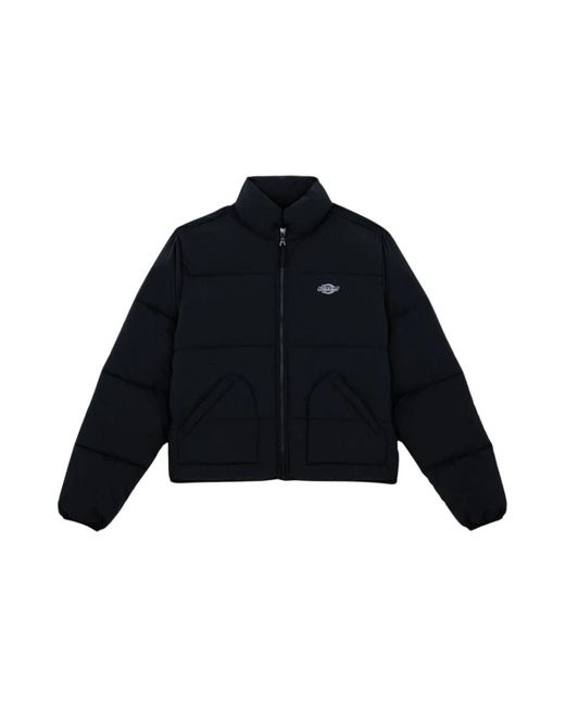 Winter Jackets Dickies de color Blue
