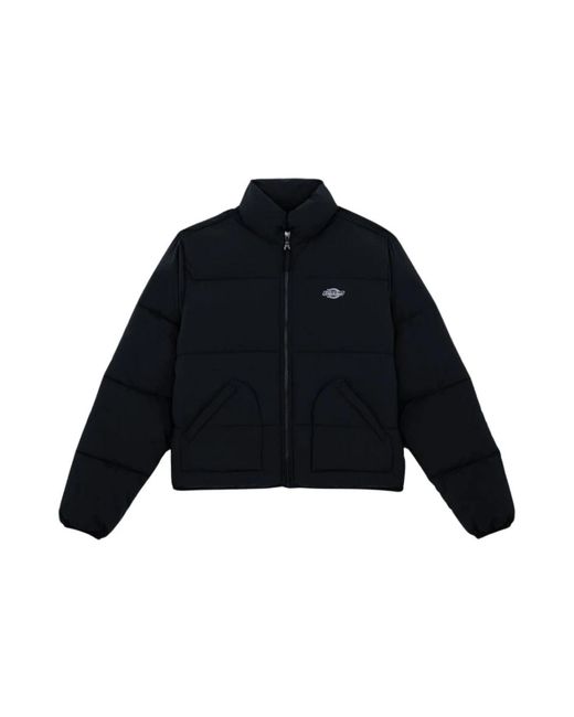 Winter Jackets di Dickies in Blue