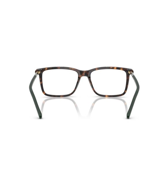 Polo Ralph Lauren Brown Glasses
