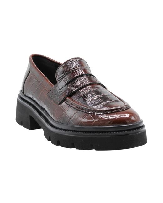 CTWLK Chelo Mocassin in het Black